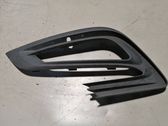 Front fog light trim/grill