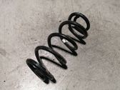 Rear coil spring