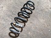 Muelle espiral trasero