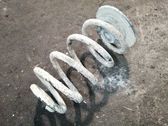 Muelle espiral trasero