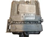 Engine control unit/module ECU