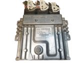 Engine control unit/module ECU