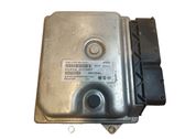 Engine control unit/module ECU