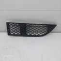 Front bumper lower grill