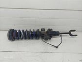 Front shock absorber with coil spring