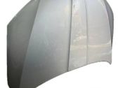 Engine bonnet/hood