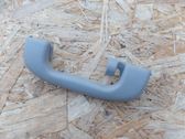 Rear interior roof grab handle