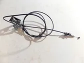 Cable de apertura del capó/tapa del motor
