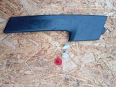 Other front door trim element