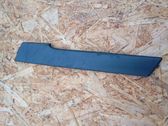 Other rear door trim element