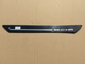 Trim molding