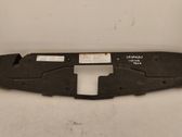 Engine bonnet/hood lock trim molding