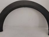 Fender trim (molding)
