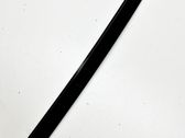 Other rear door trim element