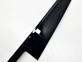 Rear door glass trim molding