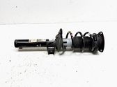 Front shock absorber/damper