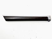 Rear door trim (molding)