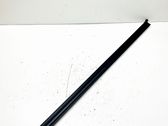 Front door glass trim molding