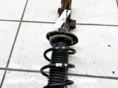 Front shock absorber with coil spring