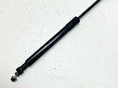 Tailgate/trunk strut/damper