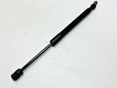 Tailgate/trunk strut/damper