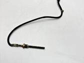 Abgastemperatursensor