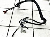 Negative earth cable (battery)