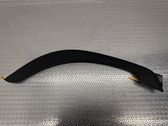 Other rear door trim element