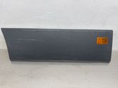 Front door trim (molding)