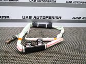 Airbag del techo