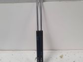 Tailgate/trunk strut/damper