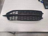 Front fog light trim/grill