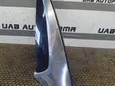 Rear door glass trim molding