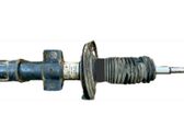 Front shock absorber/damper