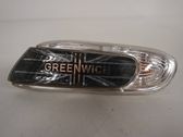Front fender indicator light