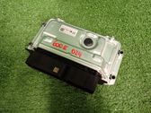 Engine control unit/module ECU
