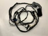 Front door wiring loom