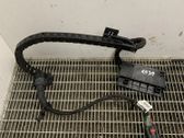 Other wiring loom