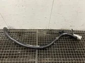 Fuel tank filler neck pipe