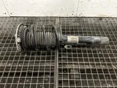 Front shock absorber/damper