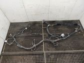 Other wiring loom