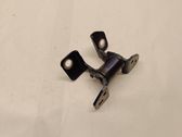 Rear door lower hinge