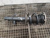 Front shock absorber/damper