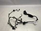 Rear door wiring loom