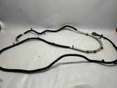 Other wiring loom