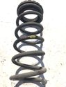 Rear coil spring