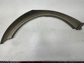 Fender trim (molding)