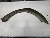 Fender trim (molding)