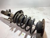 Front shock absorber with coil spring