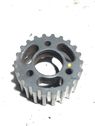 Fuel pump gear (pulley)